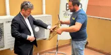 Le api prendono casa a Palazzo D’Accursio a Bologna: ecco perché