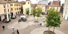 Stop ai ratti in piazza Cortevecchia. Presto reti metalliche sugli ’atolli’: "Colpa dei rifiuti abbandonati"