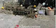 Nasse, reti e trappole per i polpi: sequestrati arnesi illegali per la pesca
