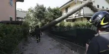I messaggi da tutta Italia: "Forza Romagna nostra, rialzati come sai fare tu"
