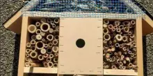 Arrivano altri nove bug hotel. Le casette su misura per le api