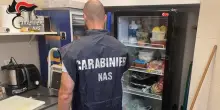 Ragni, alimenti scaduti e sporcizia: multati dai Nas ristorante e pizzeria