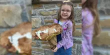 Bologna, mega fungo porcino da 1 chilo e 250 grammi in Appennino
