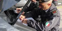 Maxi sequestro di canapa light. Vende su internet prodotti illegali. Nei guai un imprenditore agricolo