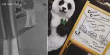 Bologna, rubano il panda al ristorante cinese: “200 euro a chi ci riporta la nostra mascotte”
