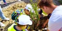 La sfida della biodiversità. Fiori, arnie e nidi per volatili. Wienerberger in campo
