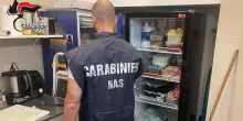 Aveva 150 chili di baccalà scaduto, sporco nei locali e ragnatele: attività sospesa
