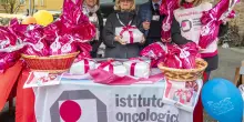 Meldola vola nel 5 per mille. Nel 2024 cresce: quasi 1,5 milioni. E anche lo Ior riceve 1,2 milioni