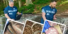 Carne scaduta da 20 anni, escrementi di topo e selvaggina in bagno: 700 chili di cibo sequestrato nei rifugi dell’Emilia Romagna