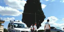 Documenti falsi per l’auto: confisca e multa