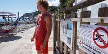 Divieto di balneazione 8 agosto ad Ancona: i livelli dell’alga tossica sono in aumento