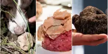 Tartufo 2025 a Bologna: dove andare per sagre in provincia