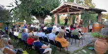 Wine concert, tramonti in musica tra le cantine dei Castelli di Jesi