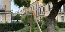 Allarme raffiche di vento. Ramo cade vicino all’altalena. Paura per i bimbi ai giardini