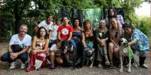 Fano, cani in passerella per solidarietà: successo per l'aperitivo benefico