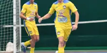 Buldog, Diotalevi resta, preso il talento Marchionni