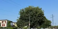 L’ombra del violentatore seriale: abusa di una minorenne, arrestato