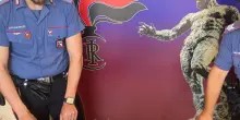 Botti illegali e hashish. Arrestato 18enne