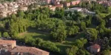 Bosco Ospizio, l’appello: "Ridateci il verde perso"