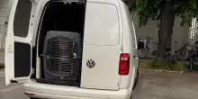 "Io aggredita dal pitbull, quanta solidarietà"