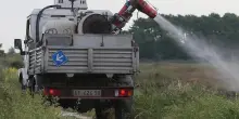 West Nile, disinfestazioni nelle aree verdi