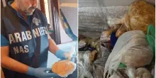 Reggio Emilia: ristorante abusivo in casa, sequestrati 700 chili di cibo
