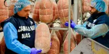 Mortadella scaduta, muffa e formiche: blitz dei Nas in un salumificio del Bolognese
