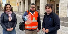Mais contraccettivo ai piccioni: "Nel primo anno un calo del 30%"