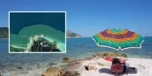 Anche Portonovo invasa dall’alga tossica: nuovo divieto di balneazione?