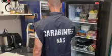 Funghi porcini, carne e formaggi scaduti: sequestrati 35 chili di cibo. Blitz dei Nas in un bar-ristorante di Parma