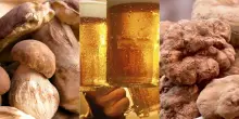 Marche tra tartufo, birra a fiumi e funghi: gli eventi del weekend dal 3 al 5 ottobre