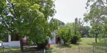 "Cantieri della scuola, alberi a rischio"