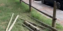Savignano, degrado al parco Nenni : "Rifiuti abbandonati e assi a terra"