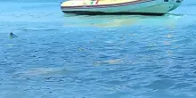 Imbarcano acqua: tutti salvati