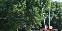 Butta giù un semaforo. Traffico in tilt e ritardi in zona Porta Saragozza