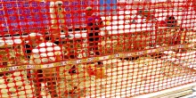 Viaggio nei cantieri infuocati. Non tutti i lavoratori si fermano: "Ma di caldo purtroppo si muore"