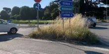 Incidente causato dall’erba alta a San Vittore