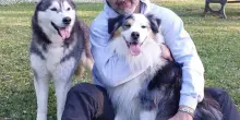 Cani e gatti protagonisti ’Adotta...mi’, sul lungomare. L’evento dei quattrozampe