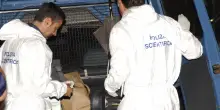 Feto trovato su un marciapiede a Parma: indaga la polizia scientifica
