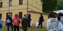 Maiolati Spontini, una domenica all'aria aperta tra oliveti e degustazioni