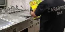 Ristorante chiuso dai Nas in centro a Lugo: sporcizia, insetti e rischio contaminazione