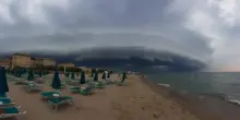 Maltempo Pesaro, 24 interventi in provincia: alberi caduti e strade chiuse