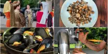 Sagre in Emilia-Romagna: cosa fare nel weekend dal 23 al 25 maggio
