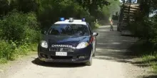 Ruba bancomat e preleva denaro a Luzzara, denunciato