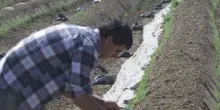 Rinnovabili, gli agricoltori frenano: "Doverosa una legislazione chiara"