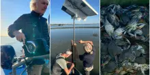Onde sonore anti granchio blu: quando potranno usarle i pescatori