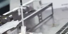 Chikungunya, ottanta casi. Positivo anche un 11enne