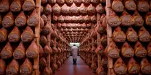 Festival del Prosciutto di Parma, a Langhirano un viaggio tra degustazioni e tradizione