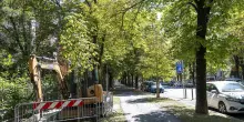 Viale dei Cappuccini. Ecco i nuovi lampioni: "Obiettivo sicurezza"