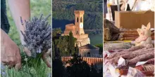 Le sagre in Emilia Romagna di questo weekend: cosa fare il 20-21-22 giugno